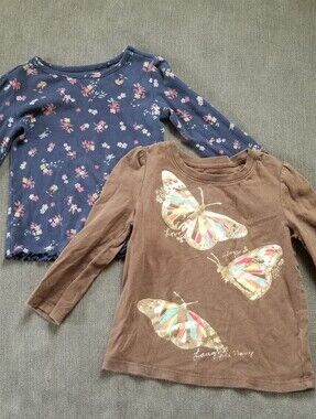 Girls' Floral Navy Long Sleeve Top & Brown Butterfly Tee - Set Size 2t